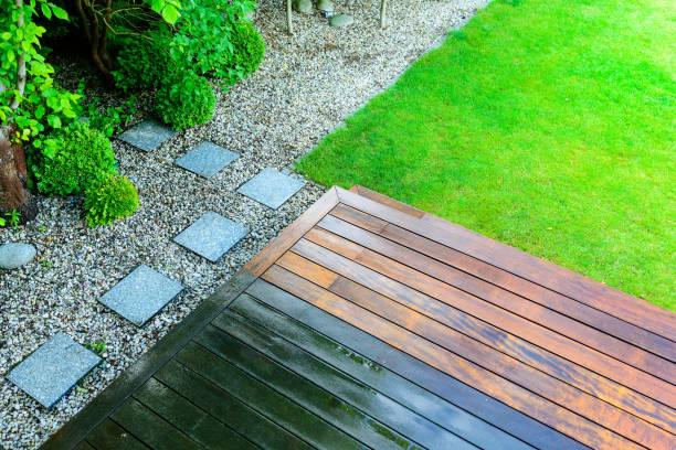 Best Roof Cleaning and Mildew Removal in Minnetrista, MN